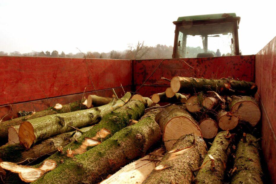 Illustration of The Surprising History Behind How Trailers Are Cut